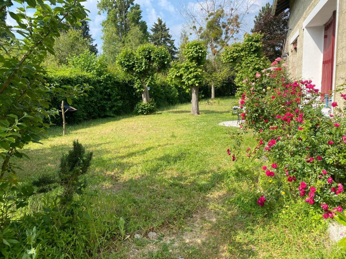 Studio Epicea Avec Jardin Dans Charmante Propriete Méry-sur-Oise Exteriör bild